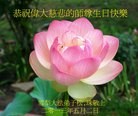 Published on 5/12/2013 ֹ,Ϥᡢī󷨵ӹʦ𻪵
