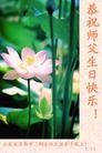 Published on 5/13/2013 ֹ,ϴ󷨵ӹʦ𻪵߷ִ(26)
