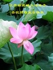 Published on 5/10/2013 ֹ,մ󷨵ӹʦ𻪵編ִգ18
