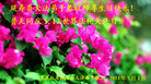 Published on 5/9/2013 ֹ,󷨵ӹʦ𻪵編ִգ20
