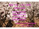 Published on 5/10/2013 ֹ,½󷨵ӹʦ𻪵編ִգ32
