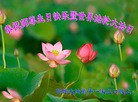 Published on 5/11/2013 ֹ,ӱ󷨵ӹʦ𻪵編ִգ23
