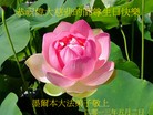 Published on 5/12/2013 ֹ,Ϥᡢī󷨵ӹʦ𻪵
