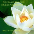Published on 5/10/2013 ֹ,󷨵ӹʦ𻪵編ִգ22
