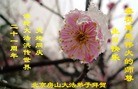 Published on 5/10/2013 ֹ,󷨵ӹʦ𻪵編ִգ18
