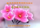 Published on 5/11/2013 ֹ,󷨵ӹʦ𻪵編ִգ17
