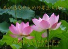 Published on 5/11/2013 ֹ,½󷨵ӹʦ𻪵編ִ(41)
