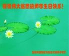 Published on 5/13/2013 ֹ,㽭󷨵ӹʦ𻪵߷ִ(24)
