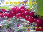 Published on 5/10/2013 ֹ,Ϻ󷨵ӹʦ𻪵編ִգ18
