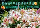 Published on 5/11/2013 ֹ,Сӹʦ𻪵編ִ(19)
