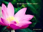 Published on 5/10/2013 ֹ,ɽ󷨵ӹʦ𻪵編ִգ21
