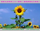 Published on 5/11/2013 ֹ,½󷨵ӹʦ𻪵߷ִգ41
