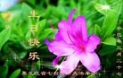 Published on 5/11/2013 ֹ,󷨵ӹʦ𻪵編ִ(19)
