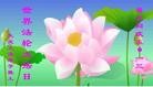 Published on 5/10/2013 ֹ,󷨵ӹʦ𻪵編ִգ16
