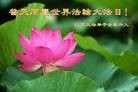 Published on 5/11/2013 ֹ,½󷨵ӹʦ𻪵߷ִգ41
