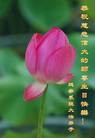 Published on 5/13/2013 ֹ,Ӵ󷨵ӹʦ𻪵߷ִ(23)
