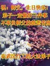 Published on 5/13/2013 ֹ,人󷨵ӹʦ𻪵߷ִ(26)

