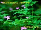 Published on 5/10/2013 ֹ,Ϋ󷨵ӹʦ𻪵編ִգ18
