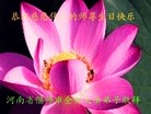 Published on 5/12/2013 ֹ,ϴ󷨵ӹʦ𻪵߷ִգ25
