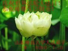 Published on 5/11/2013 ֹ,½󷨵ӹʦ𻪵߷ִ(44)
