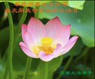 Published on 5/13/2013 ֹ,ϴ󷨵ӹʦ𻪵߷ִ(26)
