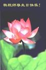 Published on 5/13/2013 ֹ,д󷨵ӹʦ𻪵߷ִ(26)
