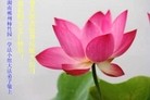 Published on 5/11/2013 ֹ,ҵ󷨵ӹʦ𻪵編ִգ47
