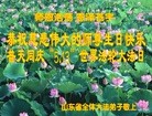 Published on 5/11/2013 ֹ,½󷨵ӹʦ𻪵編ִ(41)
