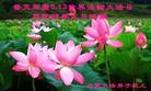 Published on 5/11/2013 ֹ,½󷨵ӹʦ𻪵編ִ(41)
