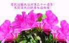 Published on 5/11/2013 ֹ,½󷨵ӹʦ𻪵߷ִ(44)

