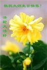 Published on 5/13/2013 ֹ,д󷨵ӹʦ𻪵߷ִ(26)
