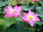 Published on 5/11/2013 ֹ,½󷨵ӹʦ𻪵編ִ(41)

