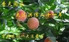Published on 5/11/2013 ֹ,󷨵ӹʦ𻪵編ִգ23
