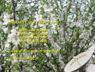 Published on 5/14/2013 ֹ,½󷨵ӹʦ𻪵߷ִ(54)

