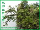 Published on 5/11/2013 ֹ,人󷨵ӹʦ𻪵߷ִգ23
