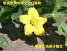 Published on 5/11/2013 ֹ,󷨵ӹʦ𻪵߷ִգ28
