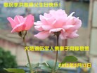 Published on 5/12/2013 ֹ,Ӵ󷨵ӹʦ𻪵߷ִգ16
