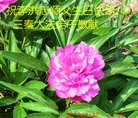 Published on 5/11/2013 ֹ,½󷨵ӹʦ𻪵߷ִգ41
