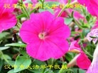 Published on 5/11/2013 ֹ,󷨵ӹʦ𻪵߷ִգ28
