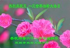 Published on 5/12/2013 ֹ,󷨵ӹʦ𻪵߷ִգ25

