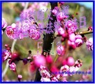 Published on 5/11/2013 ֹ,½󷨵ӹʦ𻪵߷ִգ41

