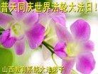 Published on 5/12/2013 ֹ,ϵͳ󷨵ӹʦ𻪵߷ִգ25

