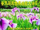 ֹ,ҵ󷨵ӹʦ𻪵߷ִ(47)
