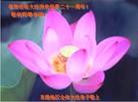 Published on 5/11/2013 ֹ,½󷨵ӹʦ𻪵߷ִգ41
