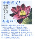 Published on 5/14/2013 ֹ,½󷨵ӹʦ𻪵߷ִ(56)
