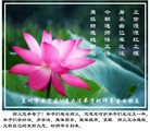 Published on 5/13/2013 ֹ,󷨵ӹʦ𻪵߷ִ(25)
