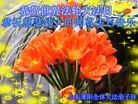 Published on 5/11/2013 ֹ,½󷨵ӹʦ𻪵߷ִգ45
