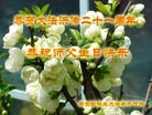 Published on 5/12/2013 ֹ,մ󷨵ӹʦ𻪵߷ִգ24
