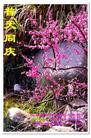 Published on 5/13/2013 ֹ,Ϋ󷨵ӹʦ𻪵߷ִ(28)

