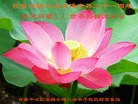 Published on 5/13/2013 ֹ,󷨵ӹʦ𻪵߷ִ(25)
